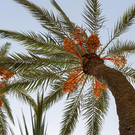 Bakkal Farm Agrolodge Marrakesh Exterior photo