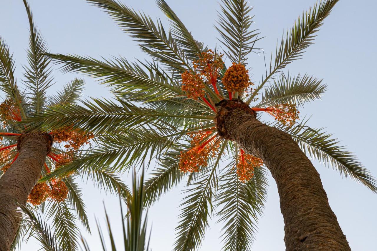 Bakkal Farm Agrolodge * Marrakesh