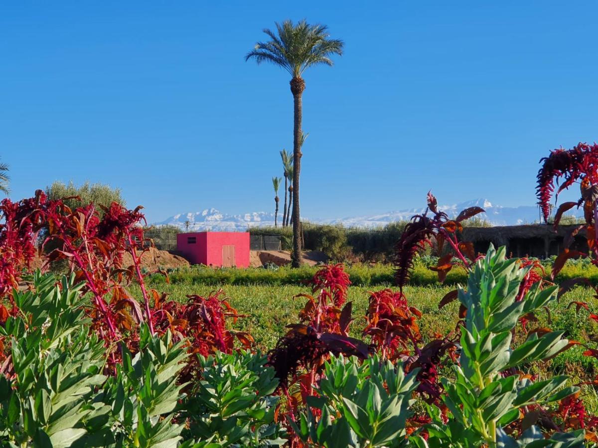 Bakkal Farm Agrolodge Marrakesch